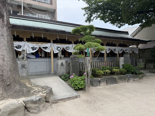 Kushida Shrine (ศาลเจ้าคุชิดะ) ในวันเงียบๆ