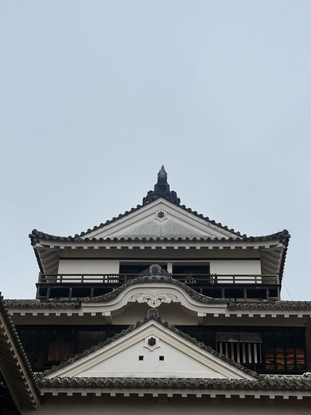松山｜3個家族4種家徽 多次火災重建的機關巧妙的松山城 
