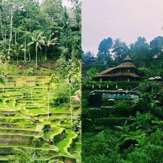 A Delightful Trip in Bali: The Taste of Overseas Travel