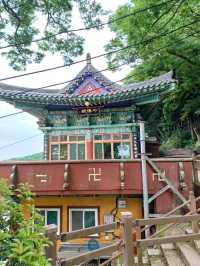 바다와 숲이 만나는 천년의 산책