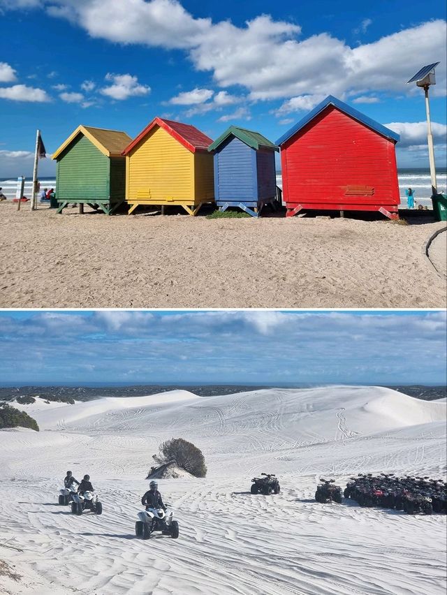 Cape town เมืองเดียว ที่เที่ยวเพียบ