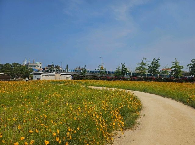 낮부터 밤까지 운하따라 문보트 데이트!