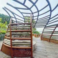 Nature’s Runway: A Stroll Along Mandai Boardwalk 🇸🇬