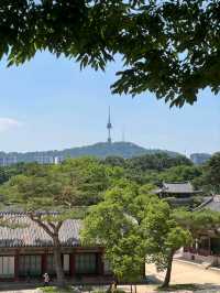 고궁과 도시의 조화, 창경궁 뷰포인트