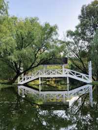 Forest Fun on the Cheap: My Visit to Gongqing Forest Park, Shanghai
