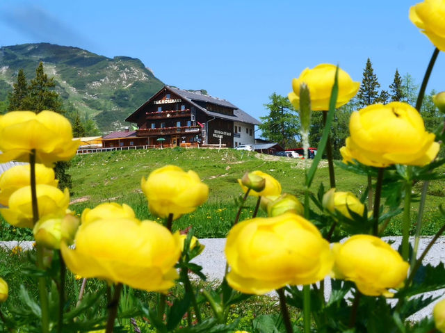 山と湖に囲まれた癒しの楽園、タウプリッツでリフレッシュ🌲⛰️✨ #タウプリッツ #オーストリア旅 #大自然に癒されて
