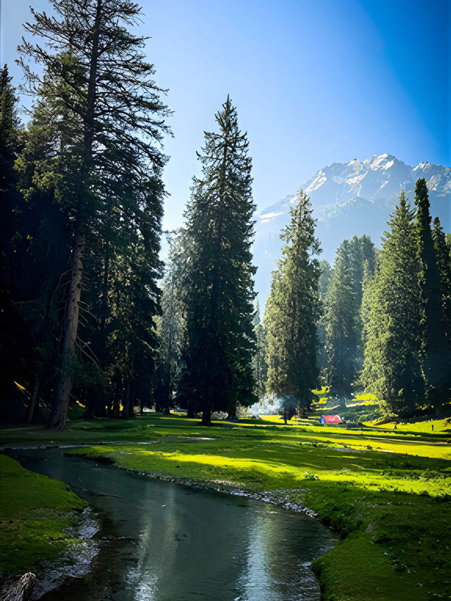 Switzerland of Pakistan - Swat Valley 