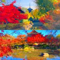 京都