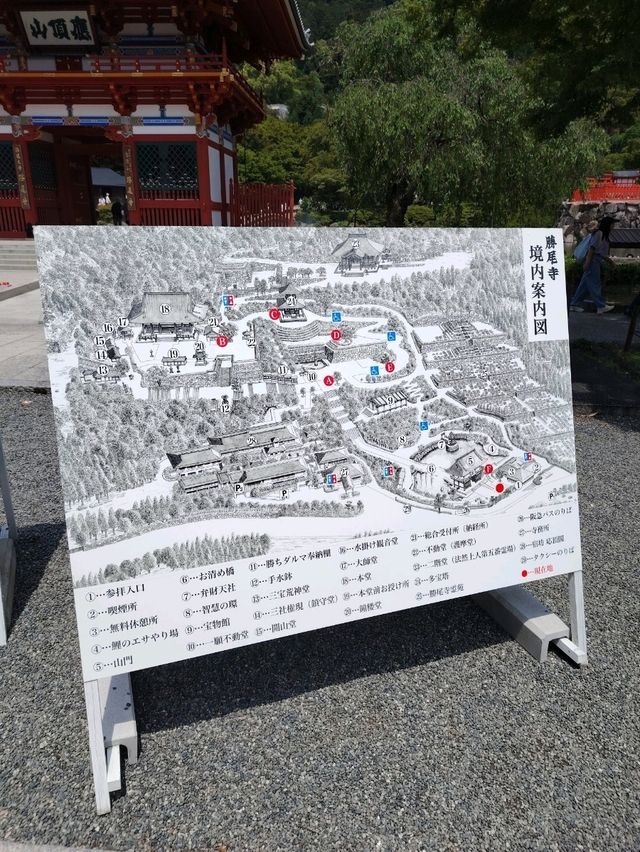 Daruma Temple - Katsuo Ji Osaka 