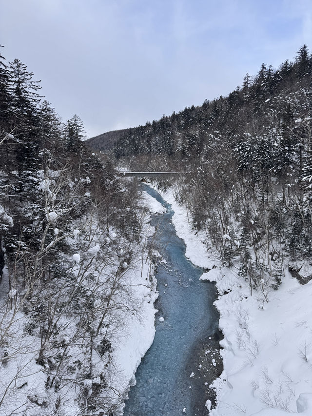 Hokkaido trip 