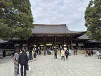 ⛩️ Shrine Among the Trees: Meiji Jingu’s Beauty Meets Tokyo’s Buzz 🌲