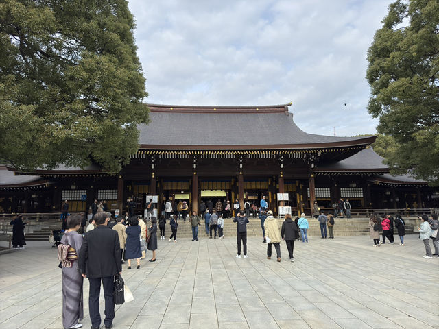⛩️ Shrine Among the Trees: Meiji Jingu’s Beauty Meets Tokyo’s Buzz 🌲