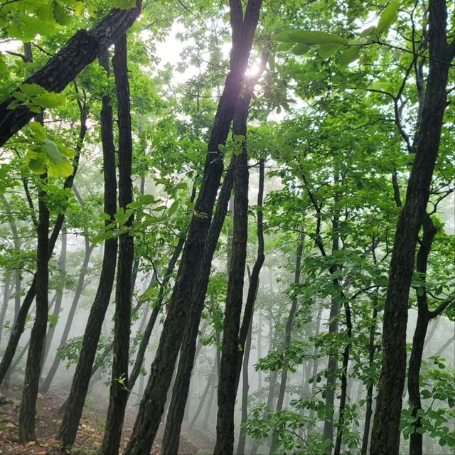 Sky-High Views at Samaksan