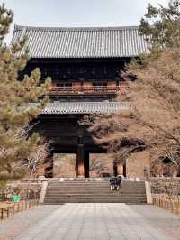 京都·天授庵｜青苔、木廊、錦鯉和古都的慢時間
