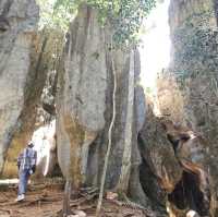 สวนผาหินงาม