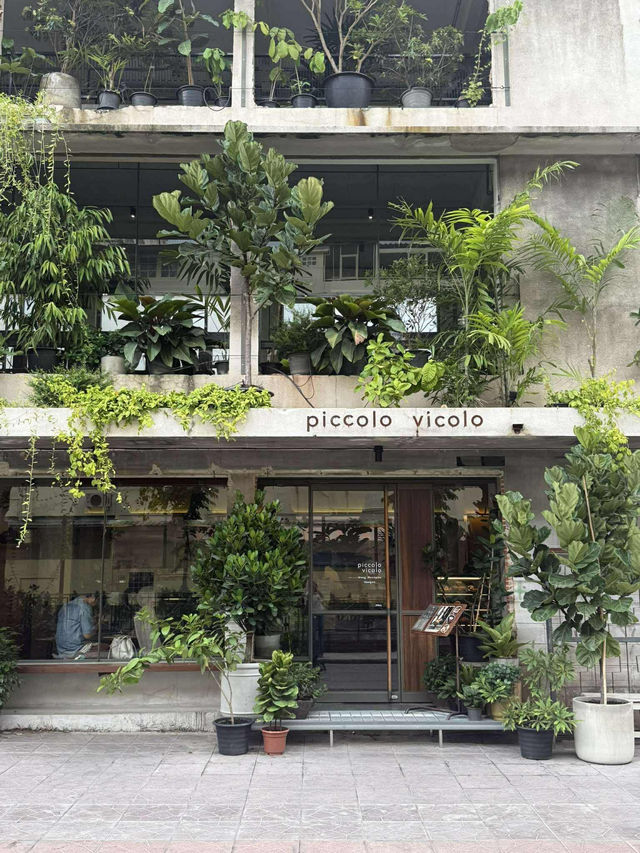 คาเฟ่สีเขียว พื้นที่ธรรมชาติ |  Piccolo Vicolo