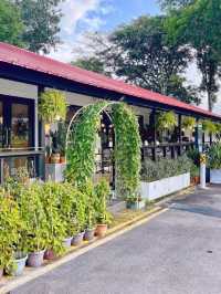 Café De Nicole’s Flower Singapore