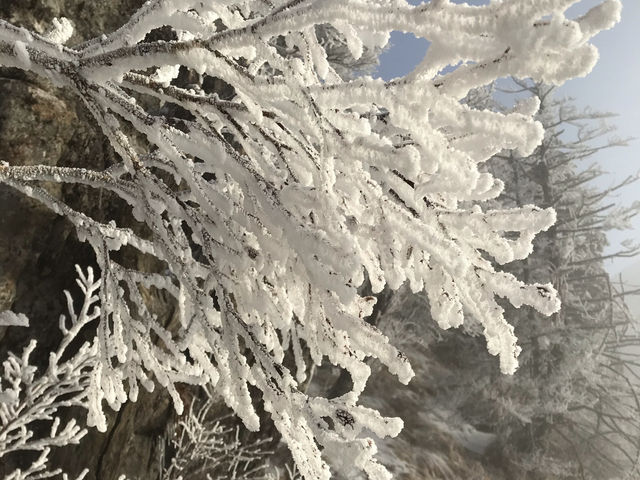 야간 산행 지리산