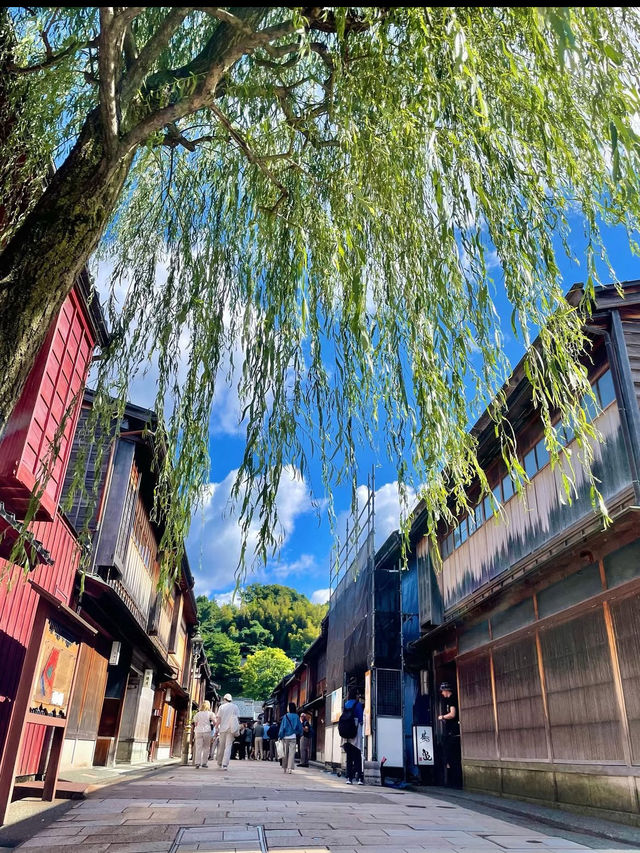 七尾湾を望む癒しの湯♨️和倉温泉で心も体もととのう旅