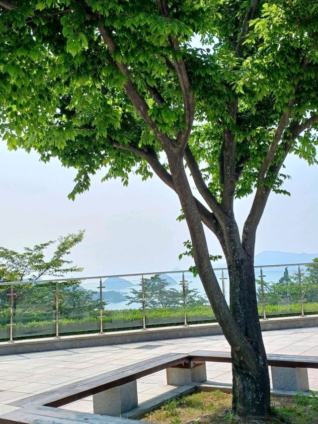 특별한 공룡 여행