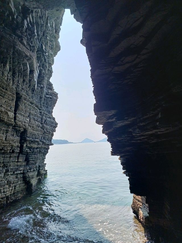 바닷물에 새겨진 공룡의 인상🦖
