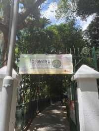 The Hong Kong Zoological and Botanical Garden 