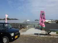 🍓 Sweetest Family Memories at Fruits Garden Yamagata
