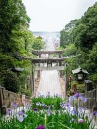 【光の道に導かれて✨】宮地嶽神社で神秘と絶景の旅
