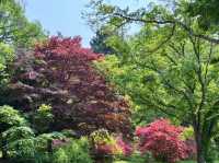圓山公園登頂