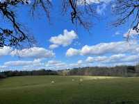 Silchester Roman Town Walls & Amphitheatre