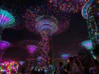 Garden by the Bay Lightshow 
