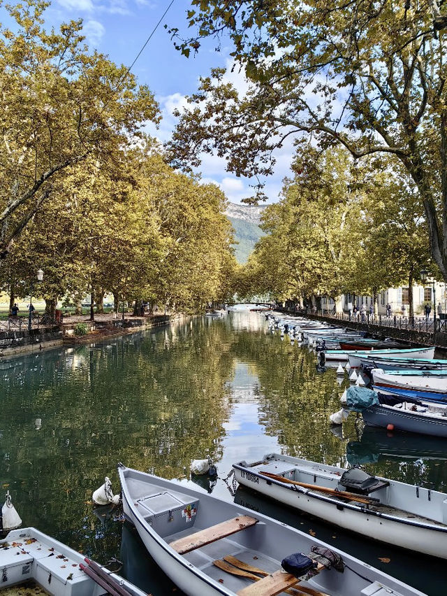 🇫🇷 安納西 Annecy 攻略｜阿爾卑斯山腳下的童話湖城