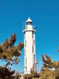 A Journey to Serenity: Review of Yangjiam Lighthouse