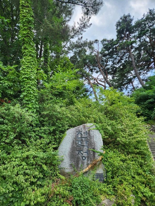 🤍강원도 고성여행, 해안 절경이 아름다운 "천학정"🤍