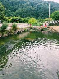 칠봉산 캠핑카 여행 – 임진강 품은 여름의 힐링 드라이브 l