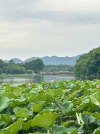 Summer Hangzhou in green