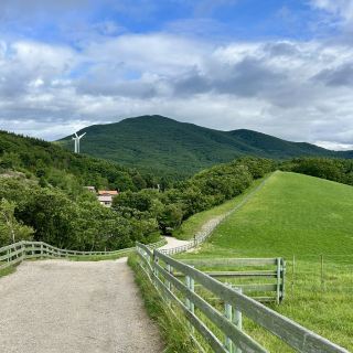 Essential Travel Destination in Pyeongchang: Daegwallyeong Sheep Ranch
