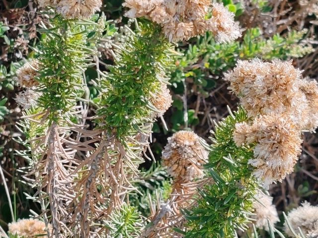 十二门徒岩（Twelve Apostles）——大洋路的象征
