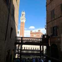 Siena – Piazza del Campo (Palio Time)