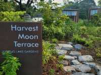 Picturesque view from the Harvest Moon Terrace