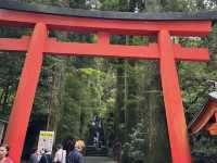 Hakone Shrine & Port Park: A Serene Escape in Hakone! ⛩️🌳 I recently visited Hakone Shrine and the 