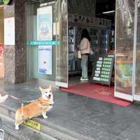 Wukang road 