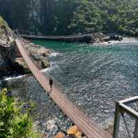 Echoes on the Bridge of Solitude