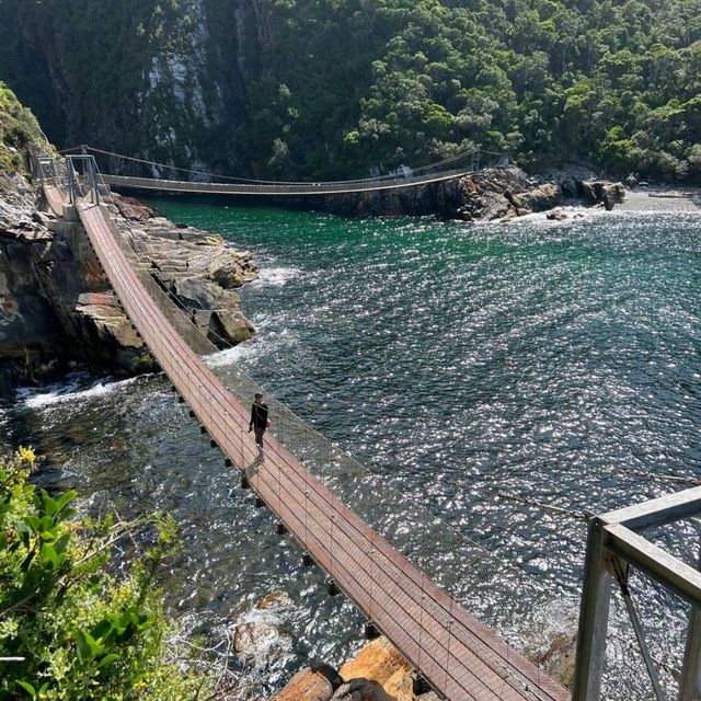 Echoes on the Bridge of Solitude