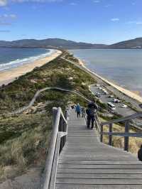 A Must in TASMANIA- Bruny Island 🏝️ 