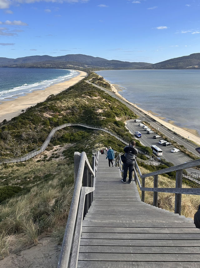 A Must in TASMANIA- Bruny Island 🏝️ 