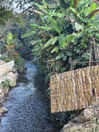 ม่อนอิงสุข eco stay โฮมสเตย์กลางป่า เชียงใหม่