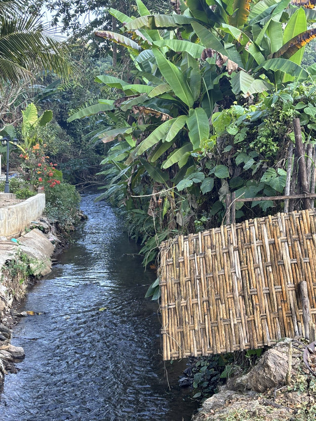 ม่อนอิงสุข eco stay โฮมสเตย์กลางป่า เชียงใหม่