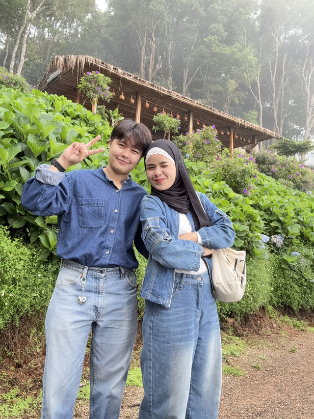 ยอดดอยม่อนแจ่ม 🪻