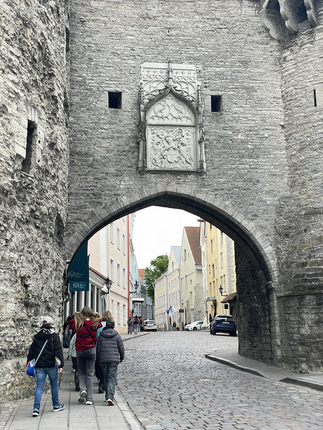 🛳️✨ 헬싱키에서 떠나는 동화 속 하루 여행 Tallinn 당일치기 투어 가이드 🇪🇪💙